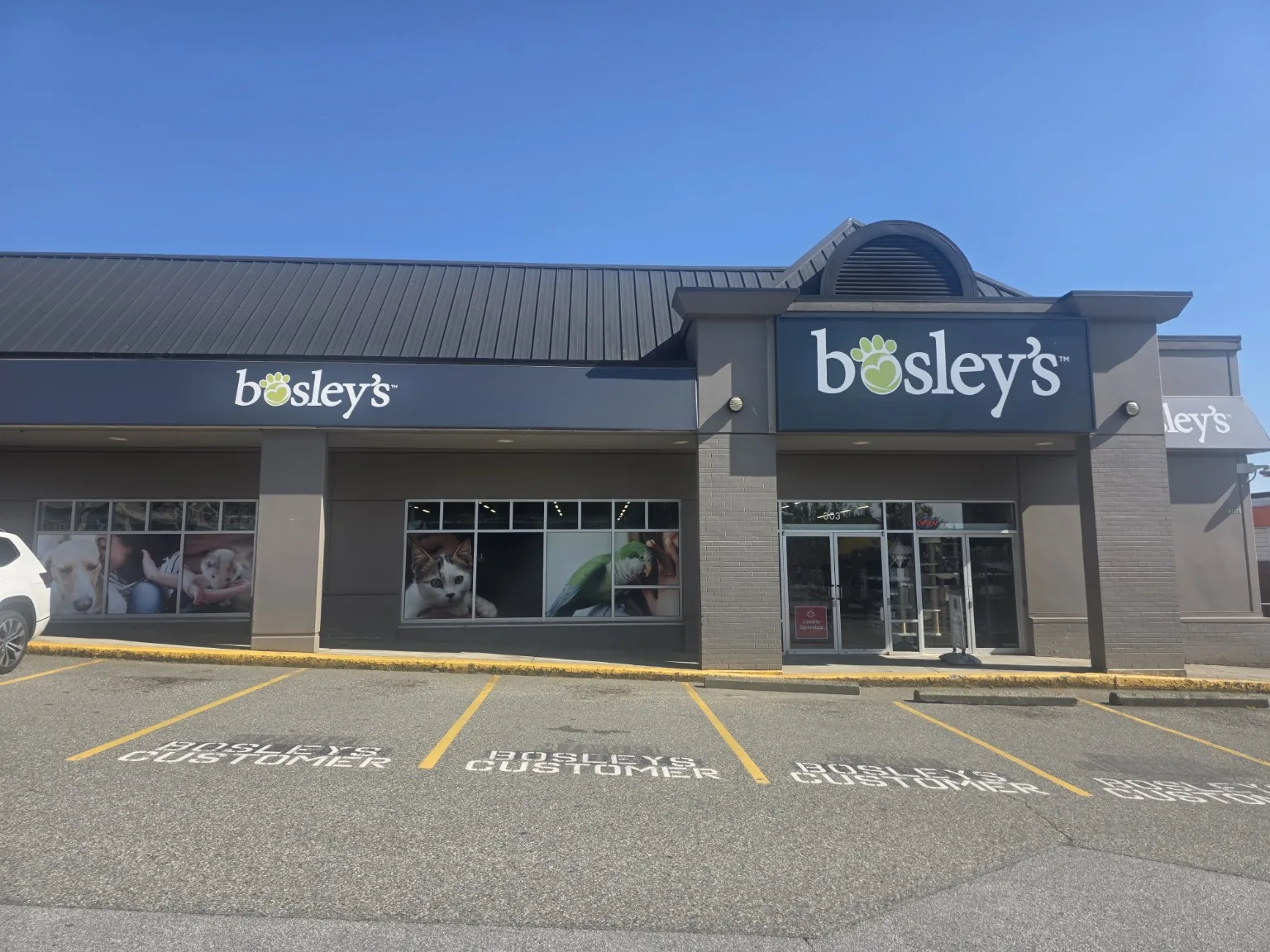 Bosley’s rollout location completed by Wicked Installations